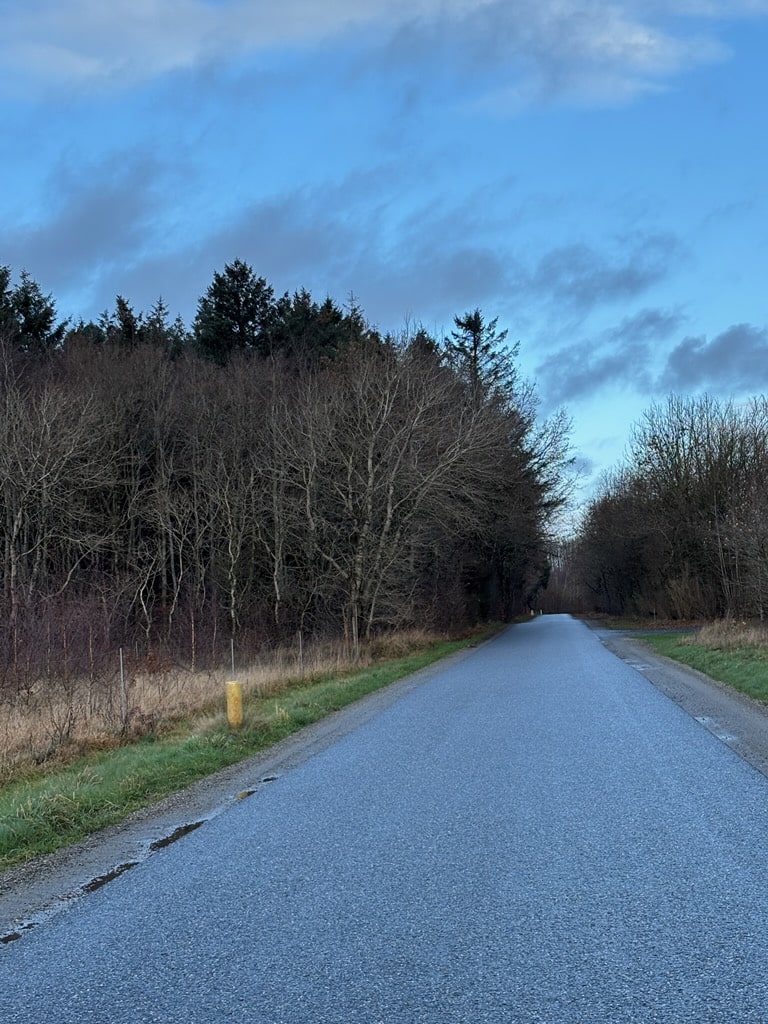 Sommer vinter tid Rådyr